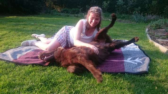 Hundmenschfotos-Beitrag-Bild