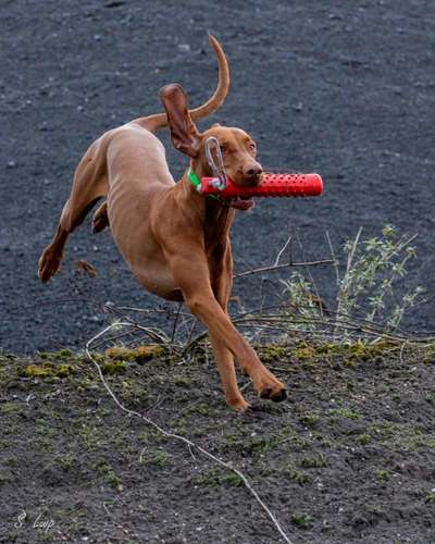 13. Farben-Fotochallenge "Grau"-Beitrag-Bild