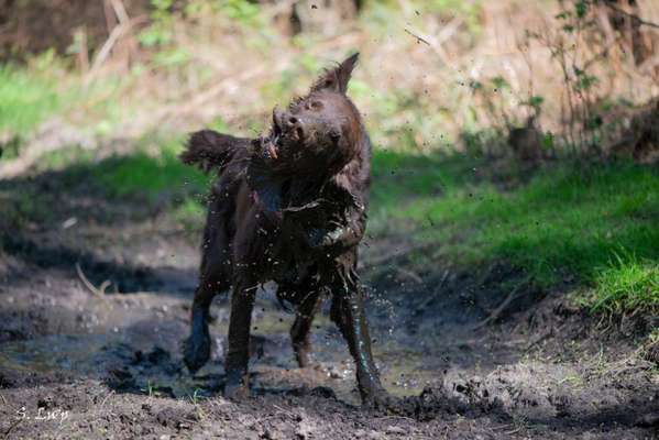 Foto Challenge Nr. 79-Beitrag-Bild