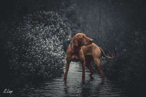 Lieblingsbild-Beitrag-Bild