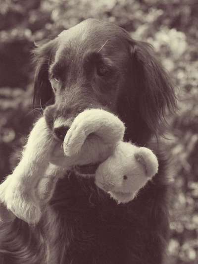 Lieblingsbild-Beitrag-Bild