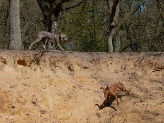 Fotowettbewerb Natur-Beitrag-Bild