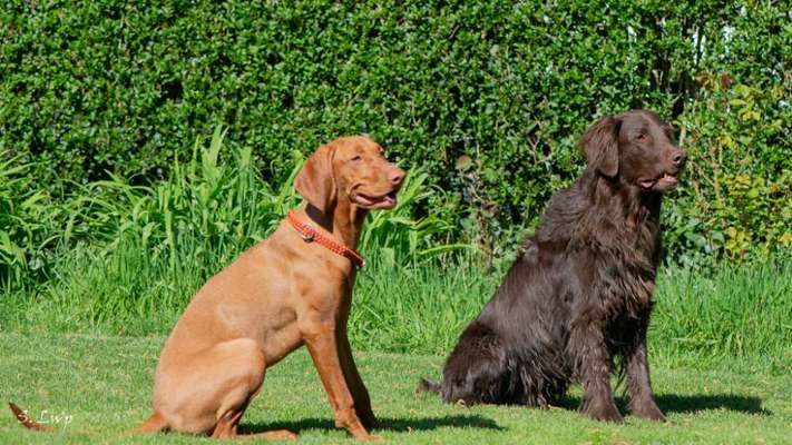 Danke ...-Beitrag-Bild