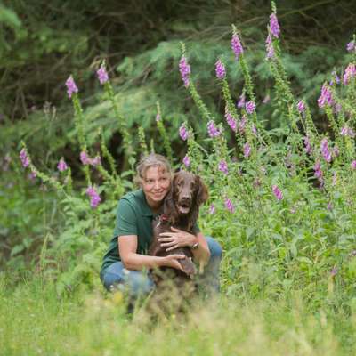 Hundmenschfotos-Beitrag-Bild