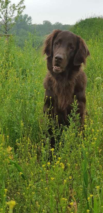 Fotochallenge 78

Es grünt und blüht-Beitrag-Bild