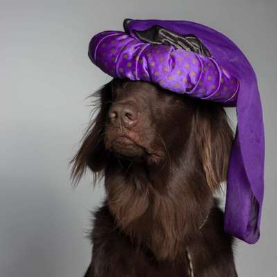 Hier ist der Spaßthread. Zum Schmunzeln und Kaputtlachen-Beitrag-Bild