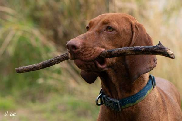 Zeigt eure Portraits-Beitrag-Bild