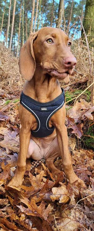 Her mit dem Grimassen-Beitrag-Bild