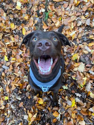 Challenge Nr. 10: "Das schönste Lächeln"-Beitrag-Bild