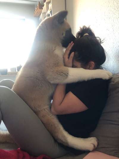 Küsschenbilder-Beitrag-Bild