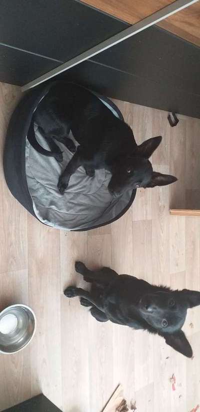 Vorher.... Nachher-Beitrag-Bild