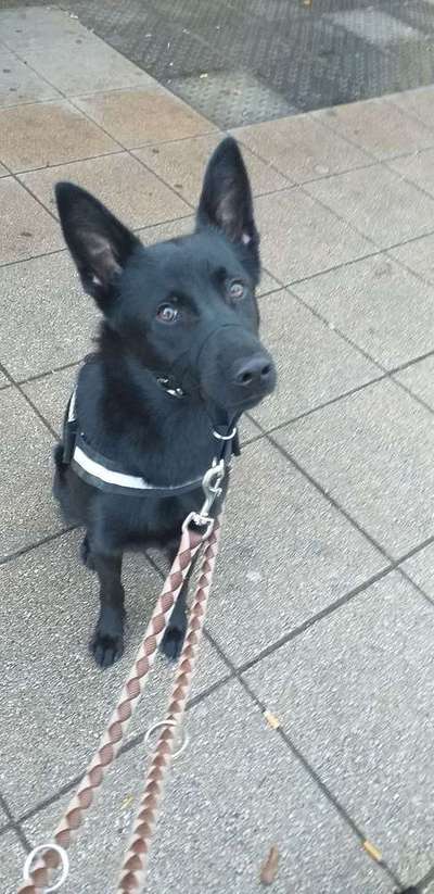 Vorher.... Nachher-Beitrag-Bild