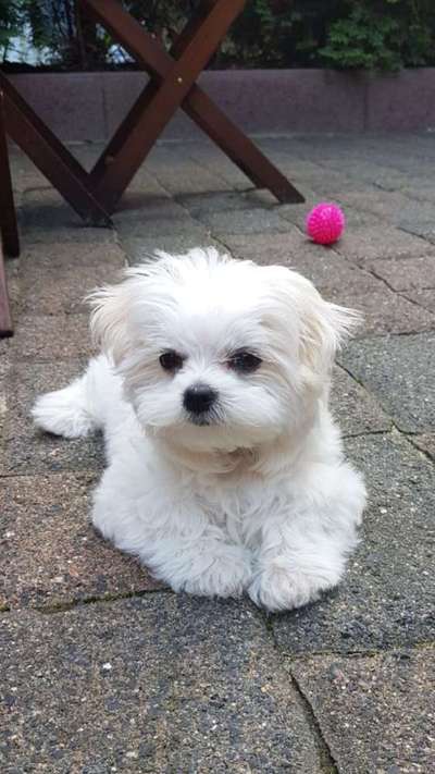 Fotochallange Nummer 5-Beitrag-Bild