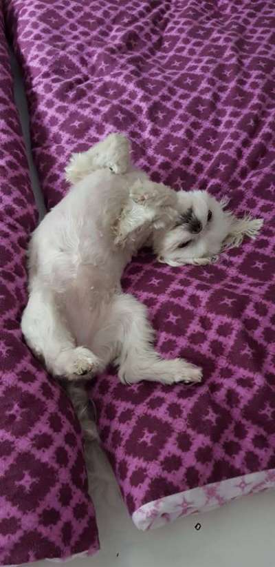 FOTO-Challenge  NR. 91: Die pure Entspannung-Beitrag-Bild