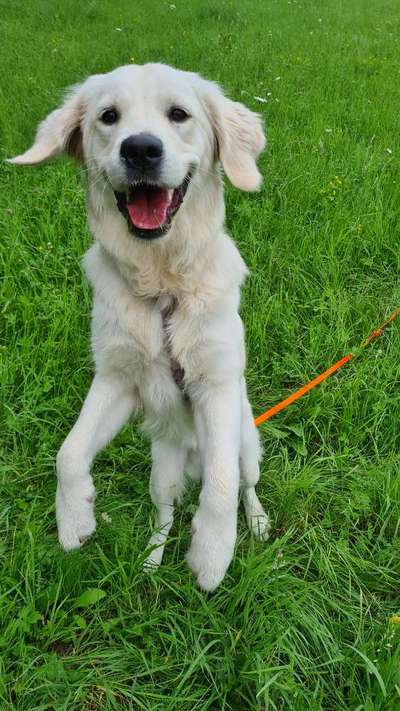 Fotowettbewerb Natur-Beitrag-Bild