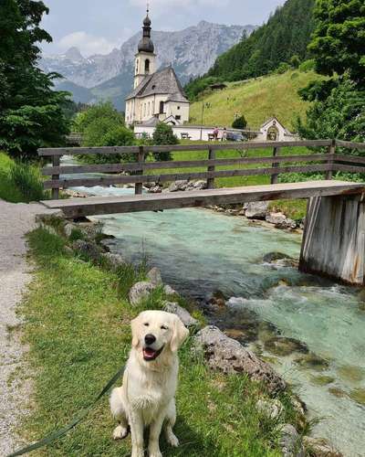 Hundeurlaub In Deutschland-Beitrag-Bild