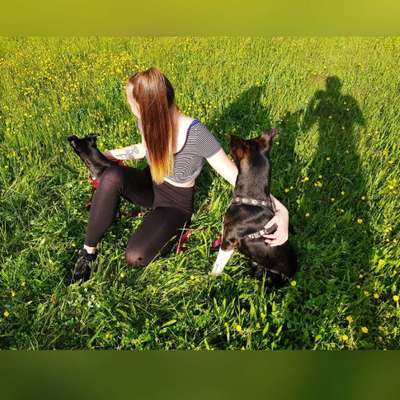 Hundetreffen-Hundetreffen in Helmstadt-Profilbild