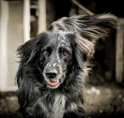 Fotochallange Nr. 57     PORTRÄT.   Beendet!!!!!!!!-Beitrag-Bild