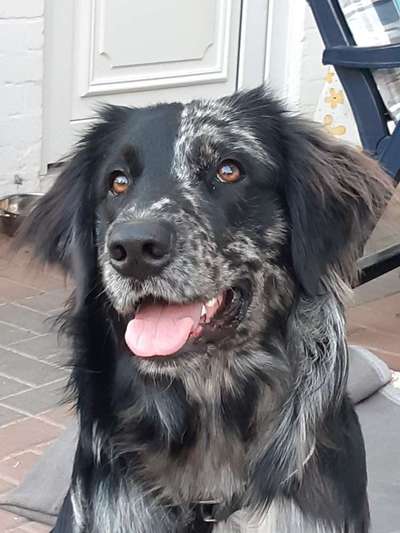 Lieblingsbild-Beitrag-Bild