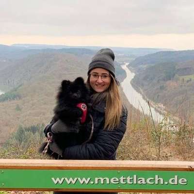 Hundetreffen-Spielfreunde gesucht-Profilbild