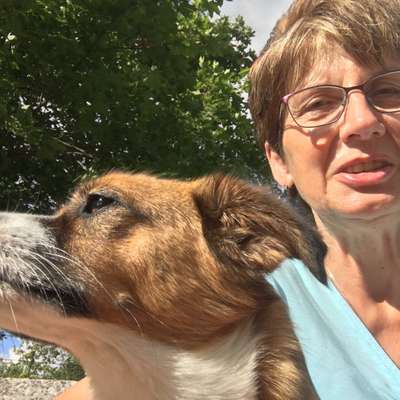 Hundetreffen-Laufrunde mit Hunden am Kulkwitzer See-Profilbild