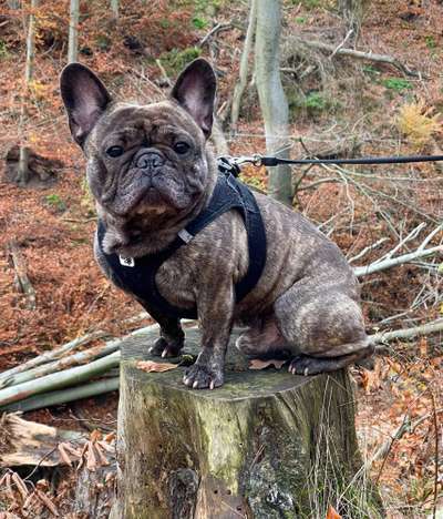 Lieblingsbild-Beitrag-Bild