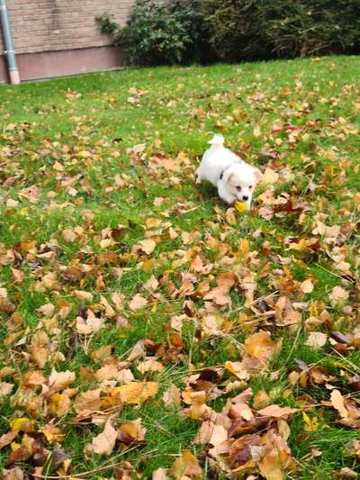 Foto Challenge 3-Beitrag-Bild