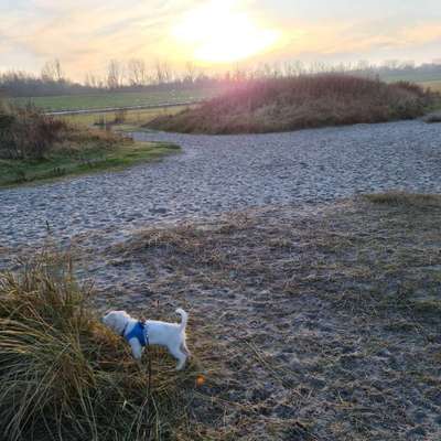 Postet eure schönsten Bilder von Spaziergängen in 2020!-Beitrag-Bild