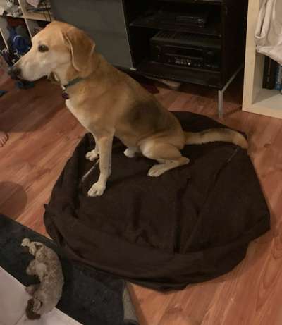 Was hat euch heute gefreut?-Beitrag-Bild