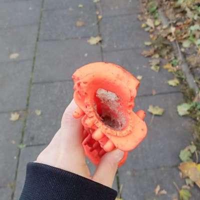 Giftköder-Spielzeug mit Leberwurst/Glassplitter-Bild