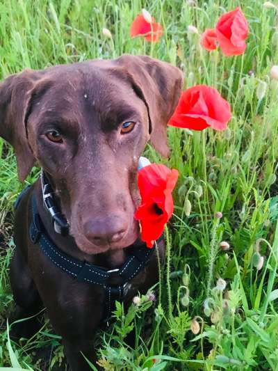 Fotochallange Nr. 57     PORTRÄT.   Beendet!!!!!!!!-Beitrag-Bild