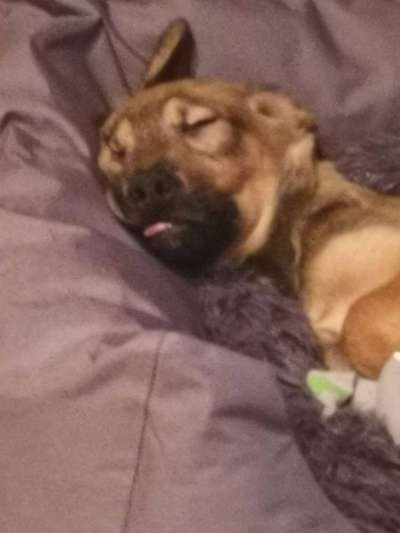 Die unbequemsten und lustigsten Schlafpositionen-Beitrag-Bild