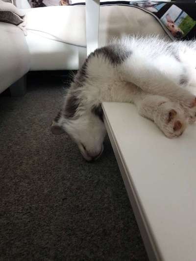 Die unbequemsten und lustigsten Schlafpositionen-Beitrag-Bild