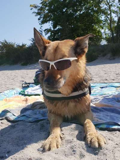 Lustige Bilder-Beitrag-Bild