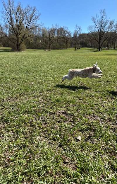 Rute ab?-Beitrag-Bild