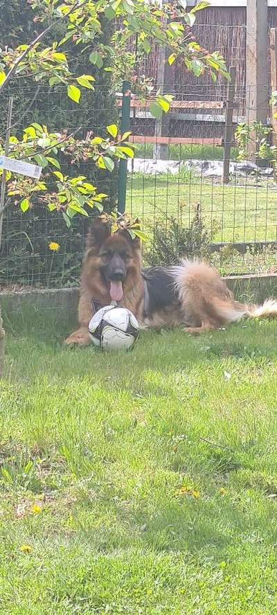 Fotowettbewerb Natur-Beitrag-Bild