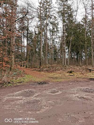 Dogorama Photo Challenge - Winterstimmung-Beitrag-Bild