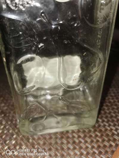 Wer kennt dieses Tier?-Beitrag-Bild