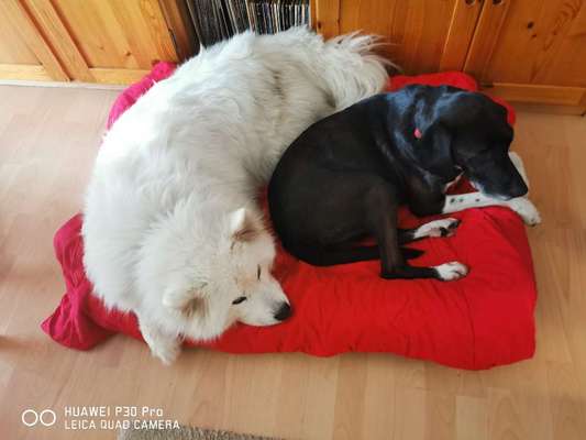 Allheilmittel Deckentraining-Beitrag-Bild