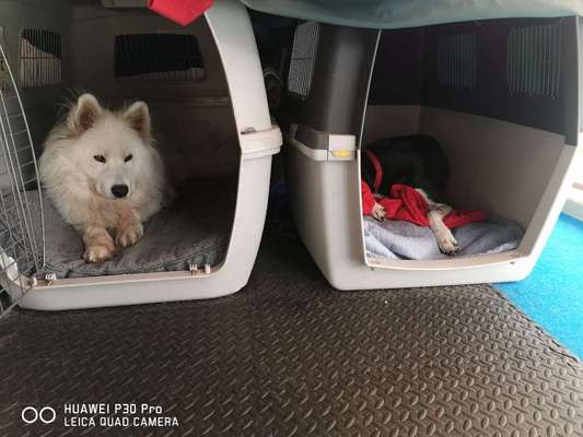 Allheilmittel Deckentraining-Beitrag-Bild