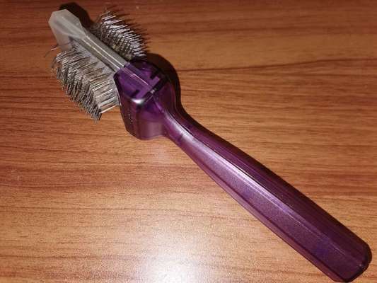 Samojede-Beitrag-Bild