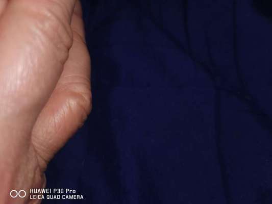 Schattenseiten der Hundehaltung-Beitrag-Bild