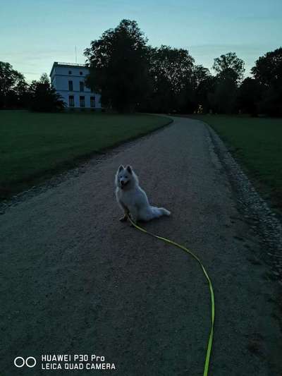 Dogorama Foto Challenge - Dämmerung-Beitrag-Bild