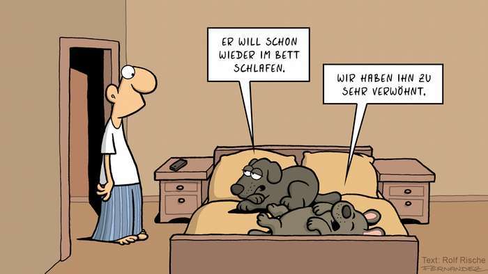 Darf der Hund bei Euch im Bett schlafen?-Beitrag-Bild