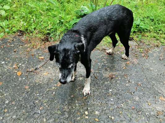 Urlaub an der Ostsee-Beitrag-Bild