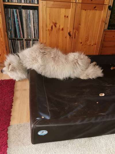 Verrückte Schlafpositionen-Beitrag-Bild