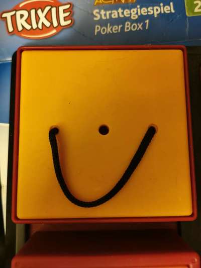 Brauche Ideen zur Űbungsgestaltung-Beitrag-Bild