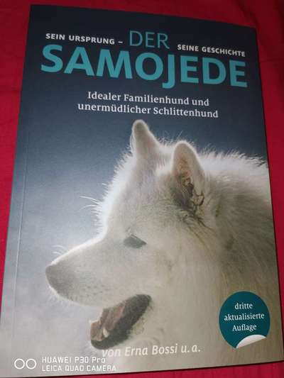Samojede-Beitrag-Bild