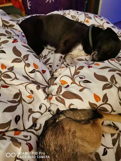 Allheilmittel Deckentraining-Beitrag-Bild