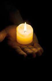 Dringende Hilfe: Hund isst nichts/Apathie-Beitrag-Bild